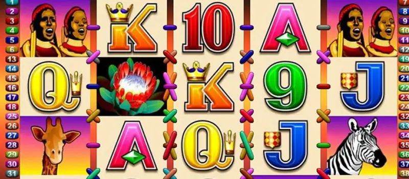 Step Into the Action with the 50 Lions Slot Experience