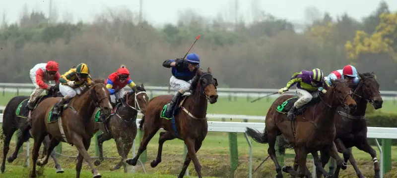 New Zealand Racing Bill Amended, Extends TAB’s Online Monopoly 2