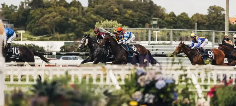 New Zealand Racing Bill Amended, Extends TAB’s Online Monopoly 1