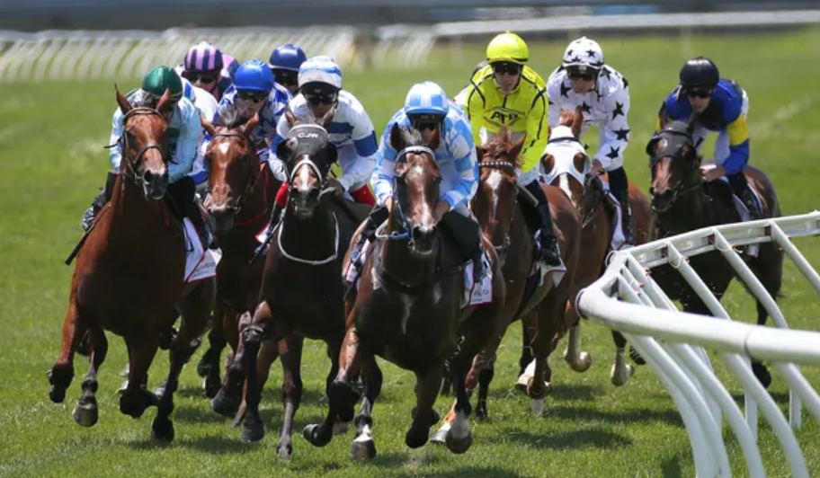 Rocket Play Horse Racing Betting – Tracks, Odds & Strategies 2